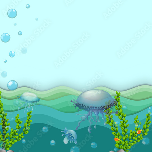 Jellyfishes under the sea
