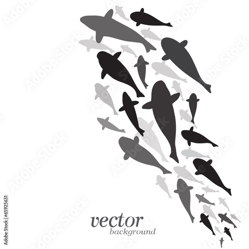 Fish design on white background