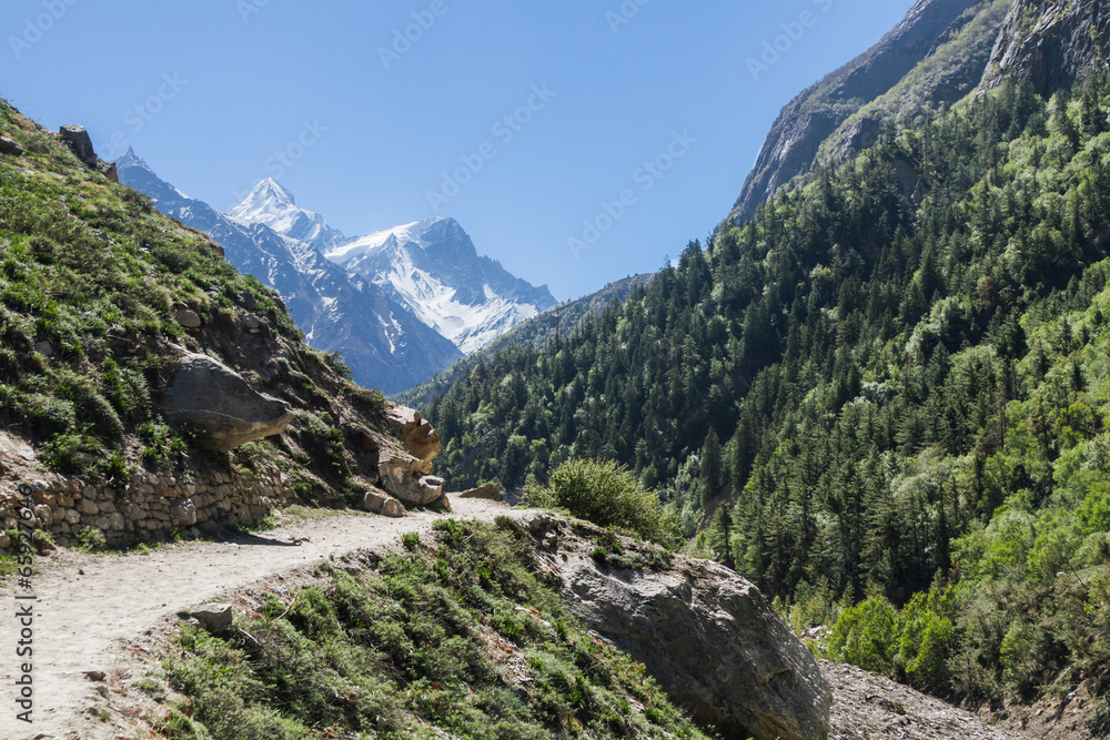 The Gangotri valley in the Indian Himalayas.