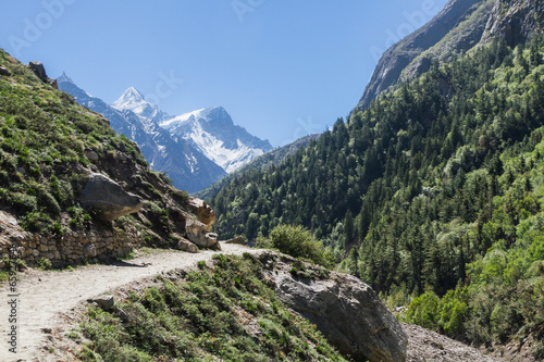 The Gangotri valley in the Indian Himalayas.