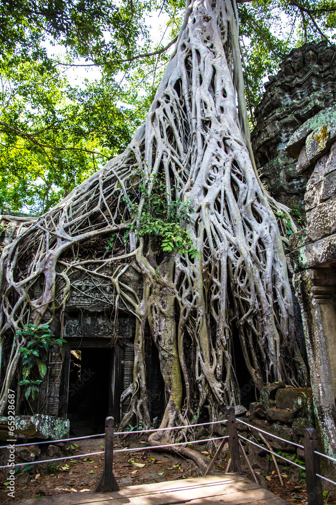Wat Ta Prohm