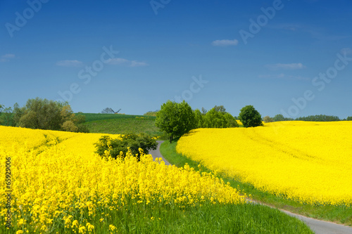 Landschaft in Vorpommern