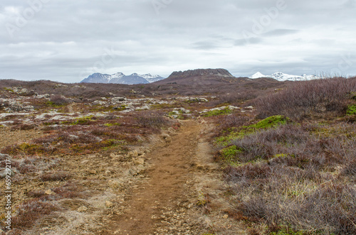 Eldborgarhraun lava field in Iceland