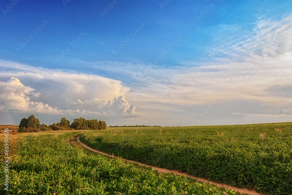 Obraz premium 7.06.03