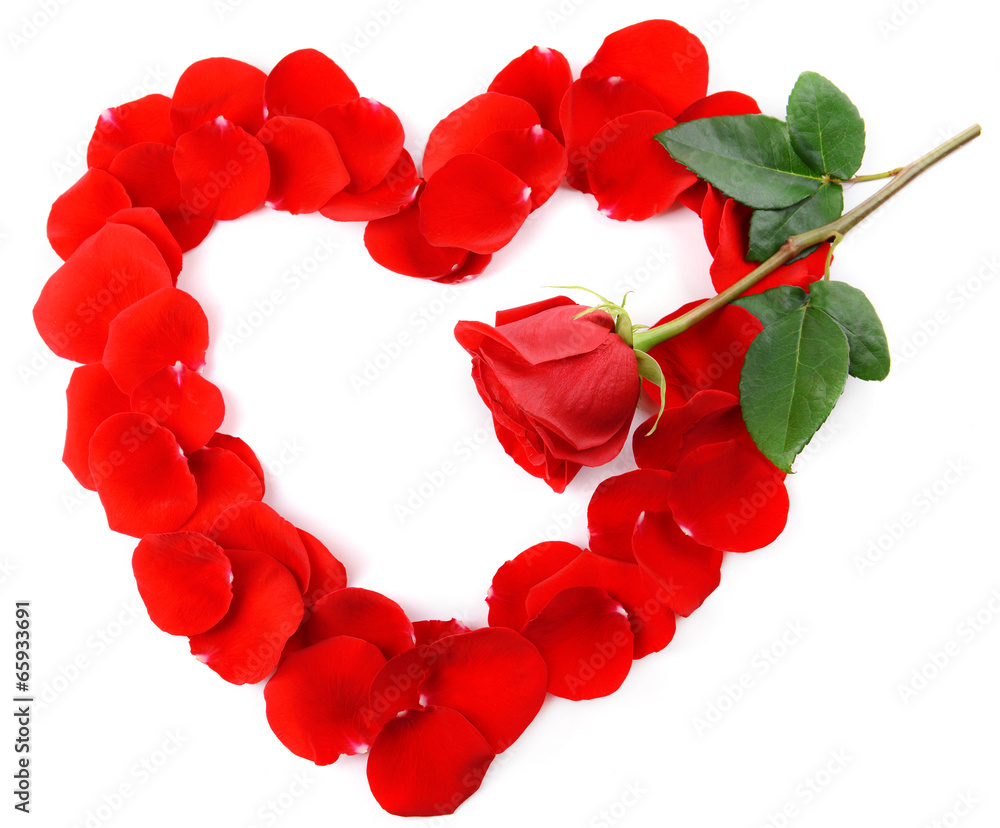 Beautiful petals of red roses in heart shape isolated on white Beautiful petals of red roses in heart shape isolated on white