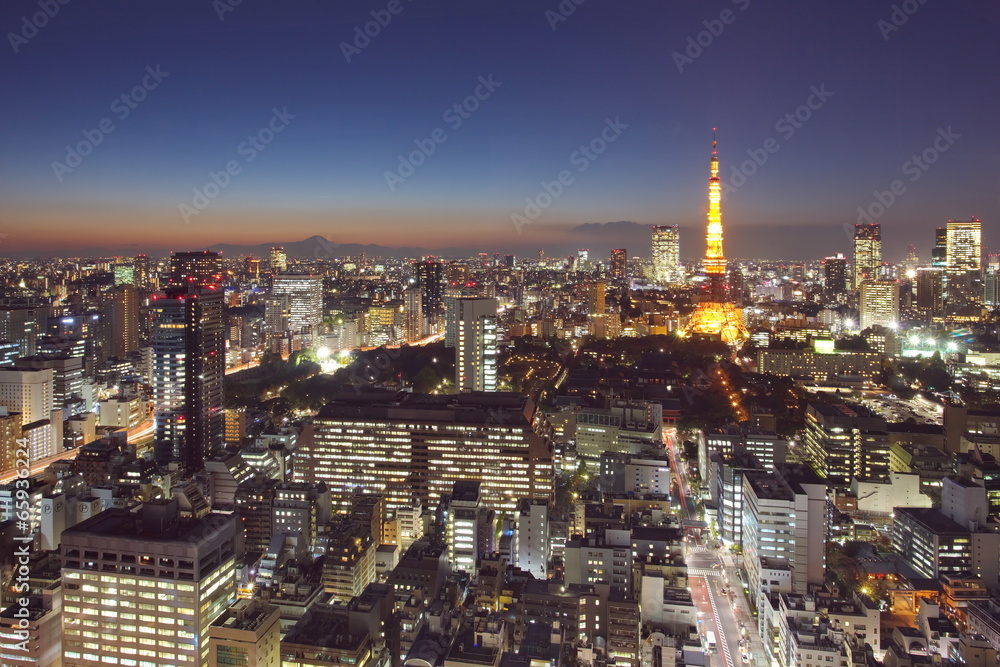 Tokyo cityscape with Tokyo tower and mountain fuji