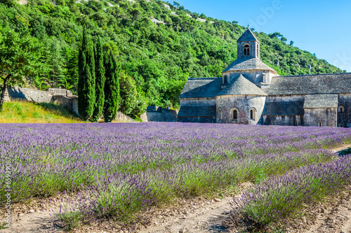 Obraz na płótnie Lavender in front of the abbaye de Senanque in Provence w salonie