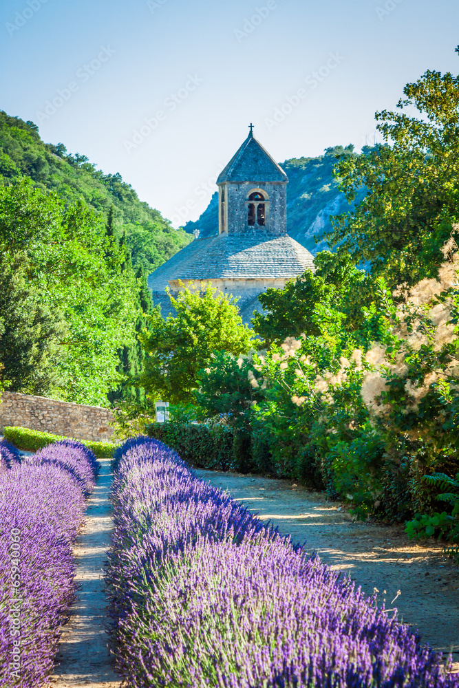 Lavender in front of the abbaye de Senanque in Provence
