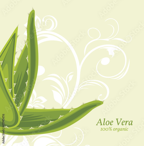 Decorative background with aloe vera
