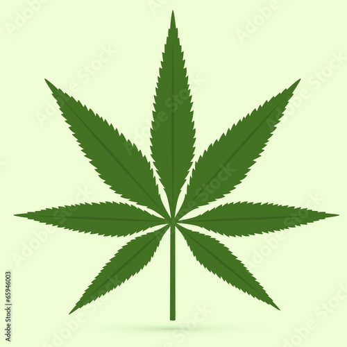 Cannabis leaf