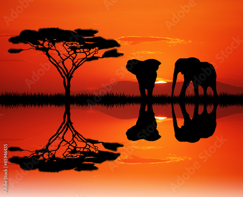 elephants in the junglee © adrenalinapura