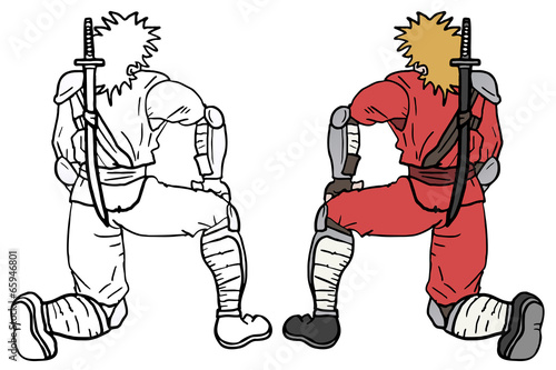 Color ninja