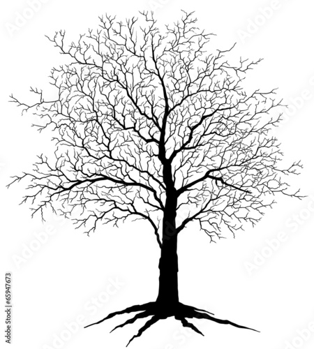 Tree Silhouette