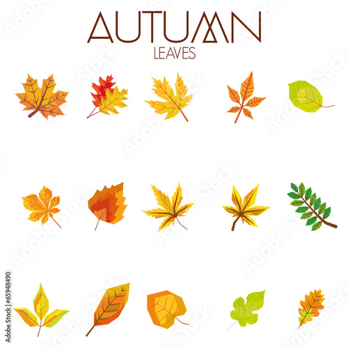 Set Of Different Abstract Autumn Leaves