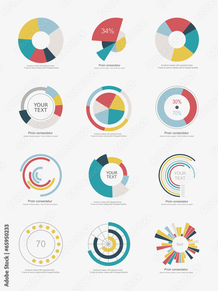 Set of info-graphic pie charts Set of info-graphic pie charts