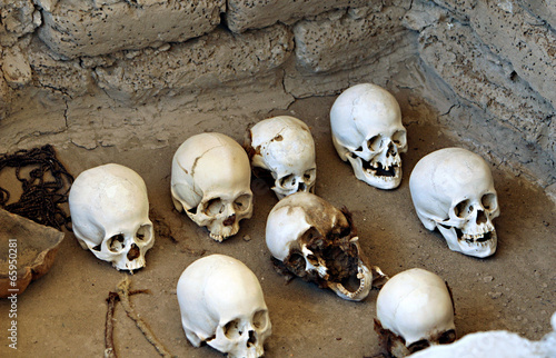 Fotografía Ancient Skulls
