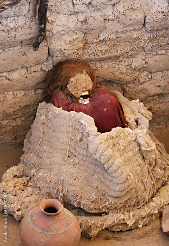 Ancient Skulls
