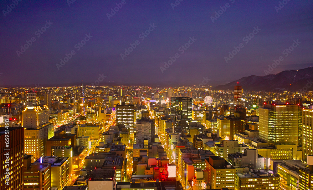 Naklejka premium 札幌市街の夜景