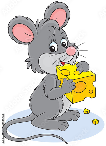Little grey mouse gnawing a piece of cheese