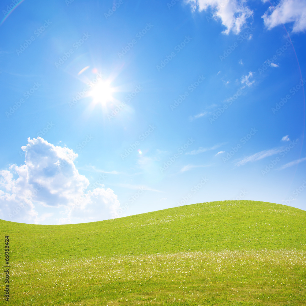 Fototapeta premium Schöne Sommer Landschaft