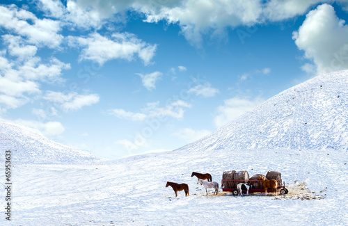 Horses out on snow covered field