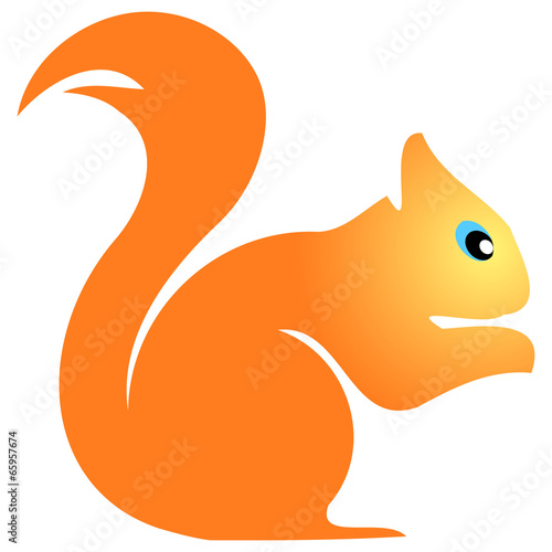 squirrel