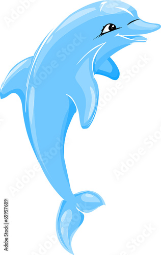 dolphin vector