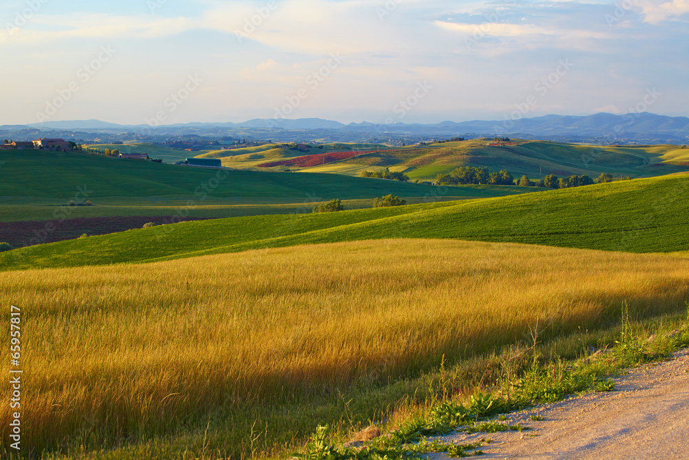Obraz premium Countryside, San Quirico d`Orcia , Tuscany, Italy