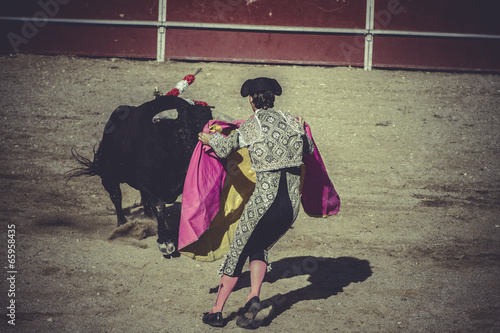 entertainment bullfight, traditional Spanish party where a matad
