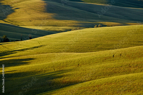 Countryside, San Quirico d`Orcia , Tuscany, Italy