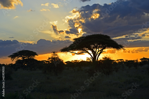 African landscape © kyslynskyy