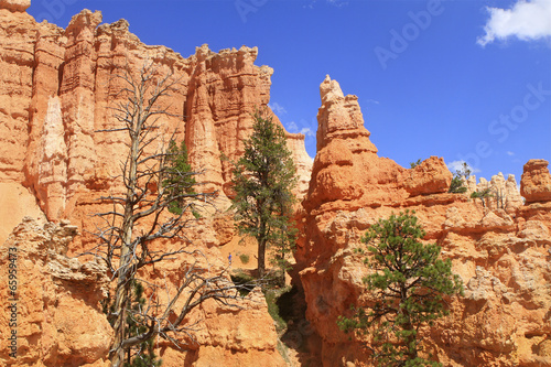 queen's garden , Bryce canyon