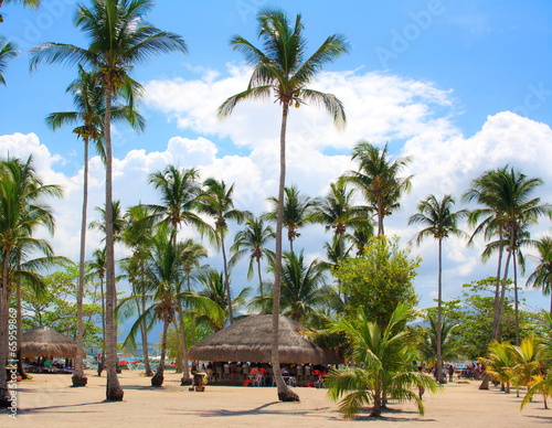 On a tropical island. Philippines.