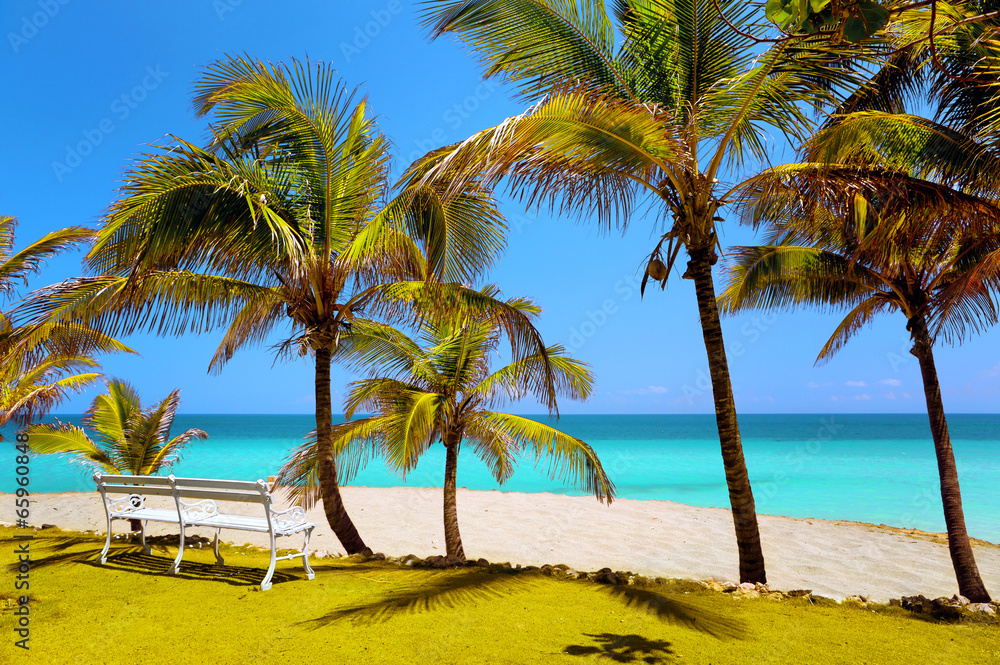beach in Varadero, bench in the sand beach in Varadero, bench in the sand