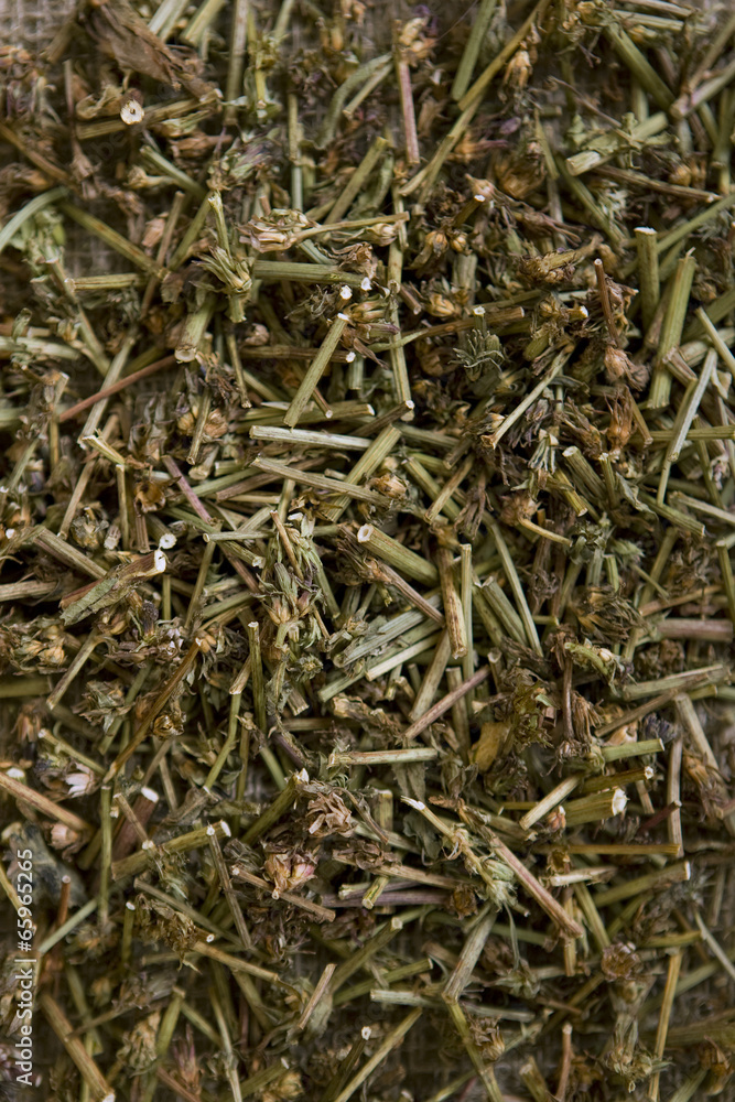 Dried Chicory (dry medicinal herbs) Dried Chicory (dry medicinal herbs)