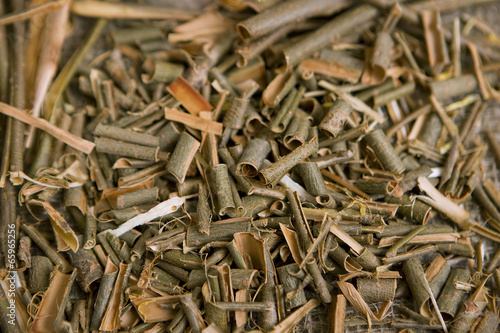 Willow bark medical