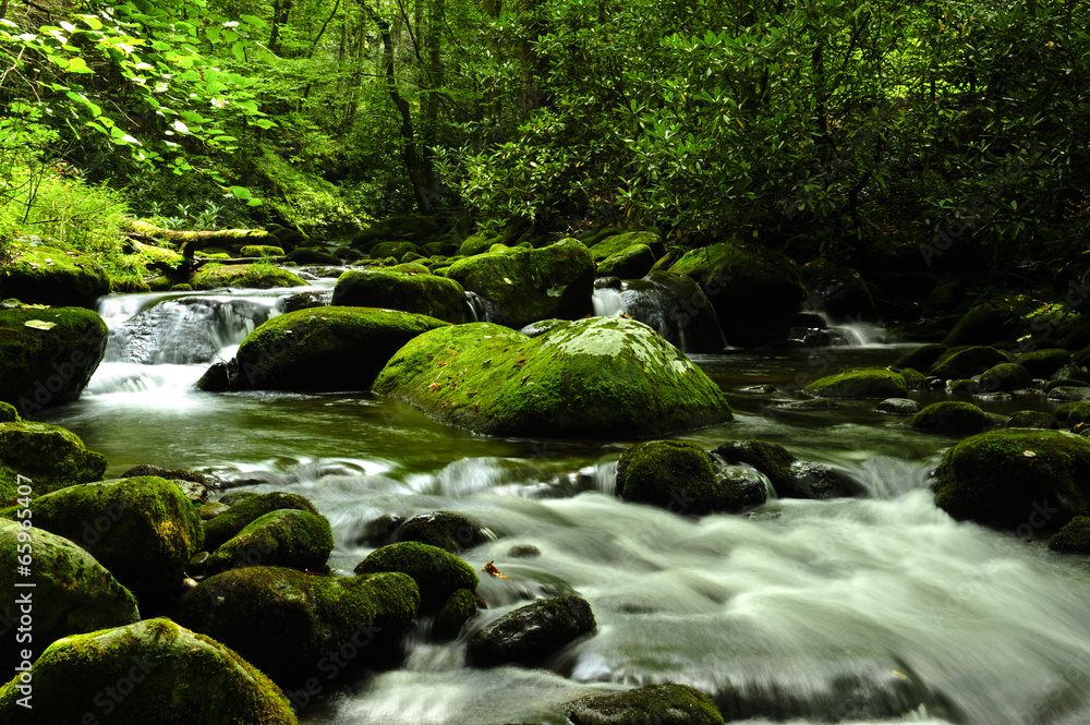 Fototapeta premium Great Smokey Mountains National Park