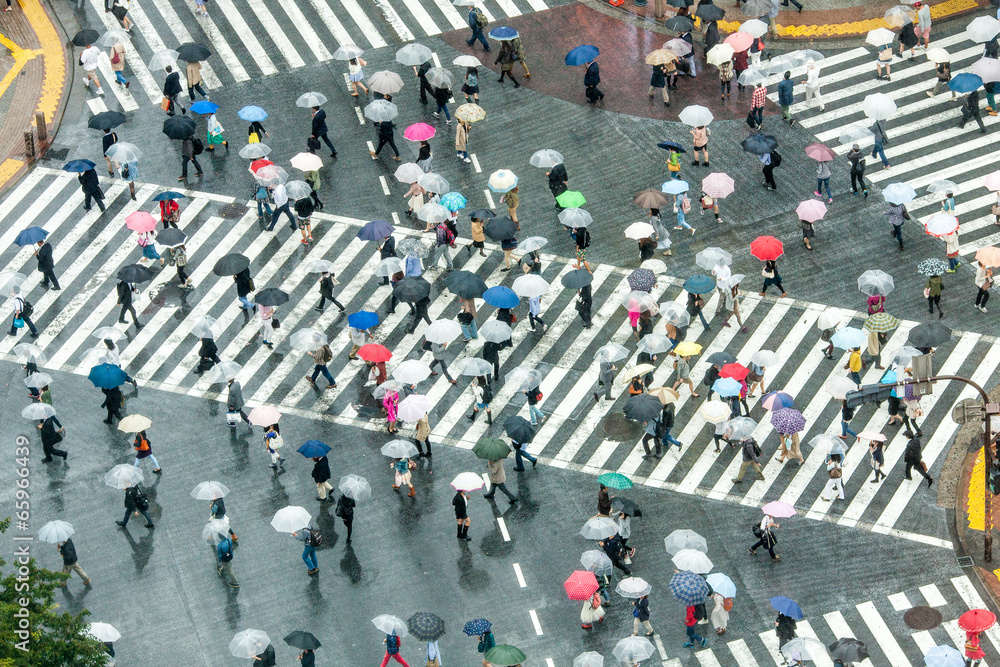 Obraz premium Shibuya Crossing