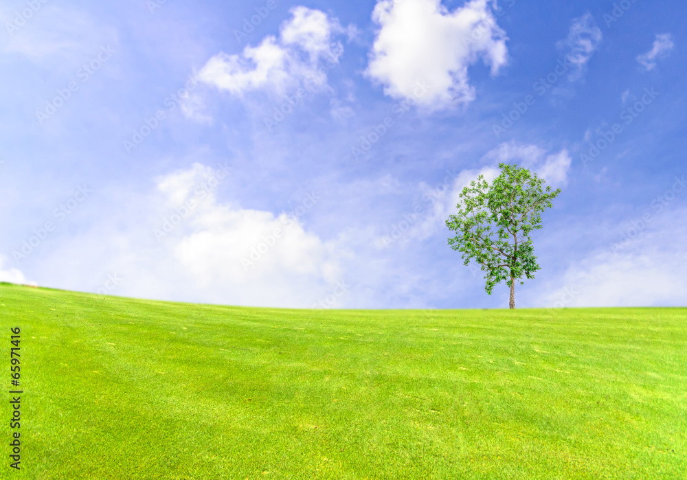 Landscape of green field with blue sky Landscape of green field with blue sky