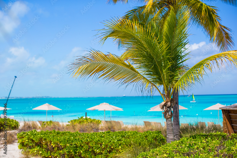 White lounges under an umbrella on perfect sand beach