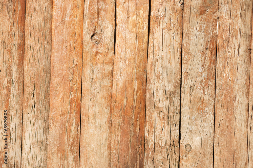 Naklejka premium tree texture