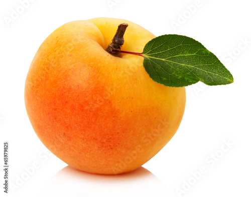 ripe apricot on the white background