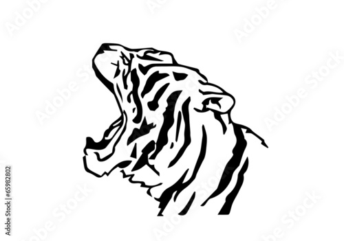 testa di tigre stilizzata su sfondo bianco