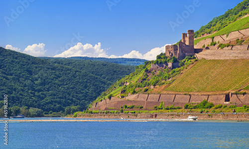 Burg Ehrenfels am Rheinknie photo