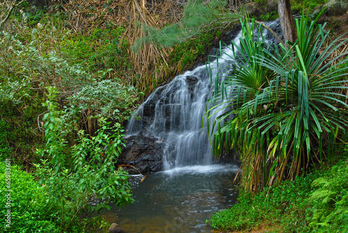 Secluded waterfall in Hawaii