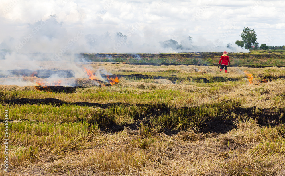 Fototapeta premium Farmers in Thailand are set fire to straw stubble