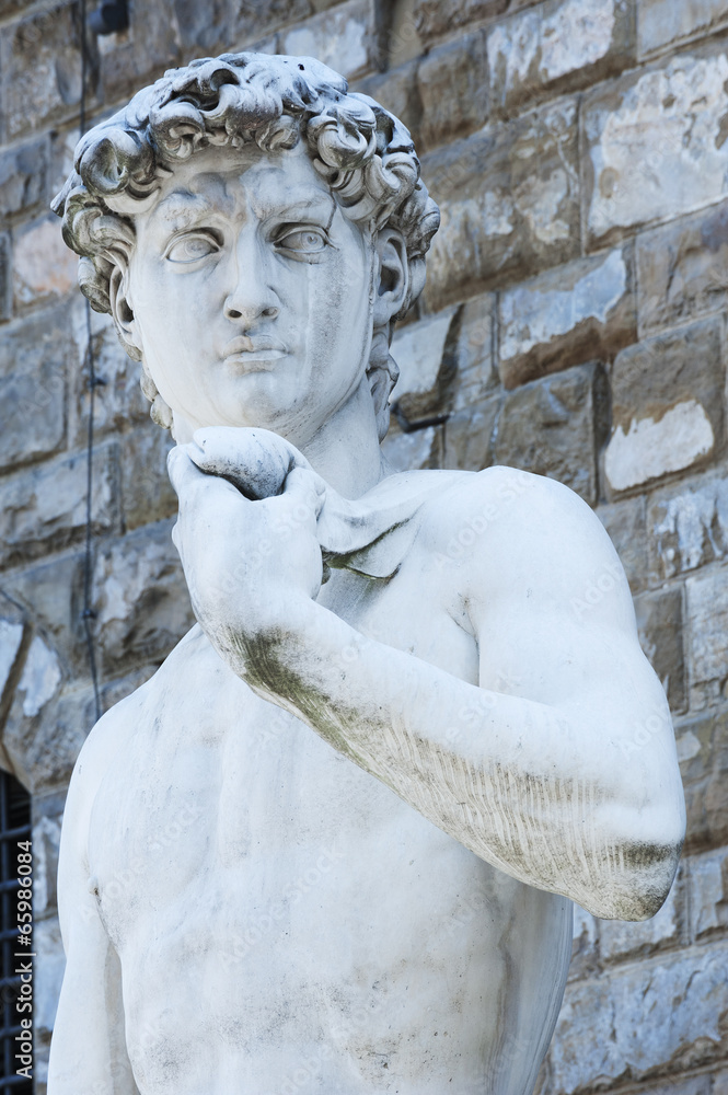 Michelangelo's replica David statue. Florence, Italy