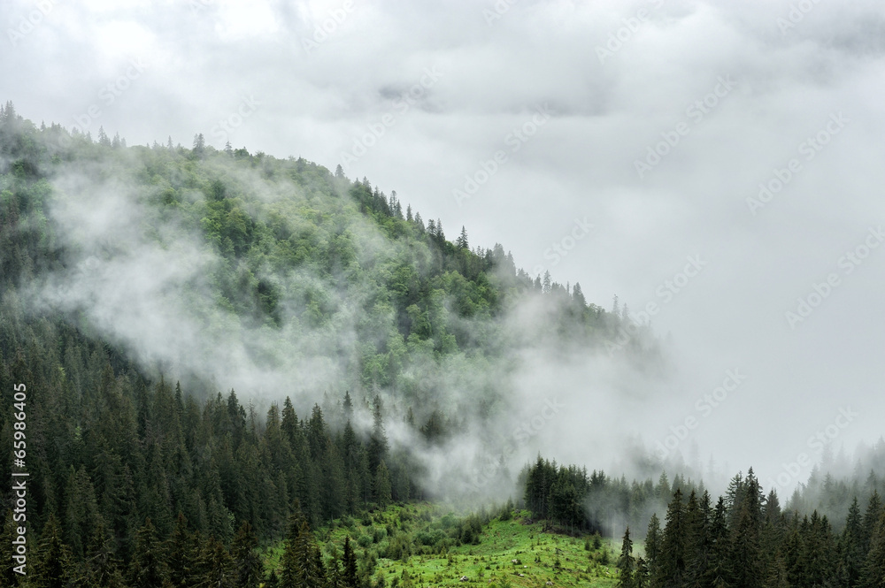 Fog and cloud mountain valley landscape