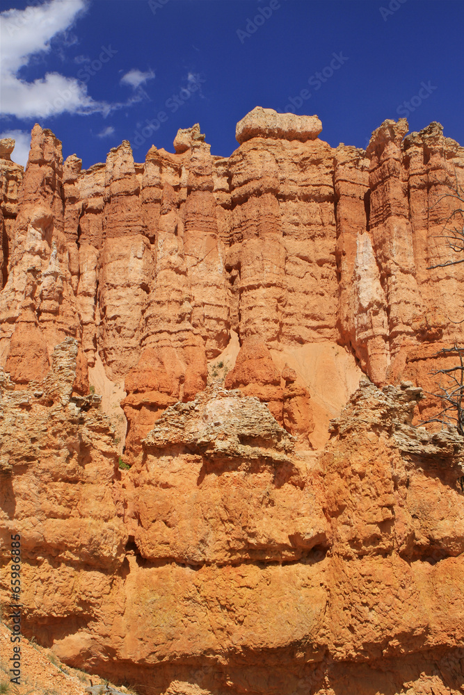 Fototapeta premium hoodoos de Queen's garden trail, Bryce canyon