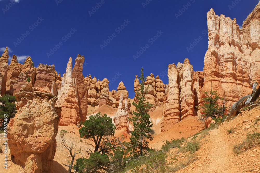 queen's garden , Bryce canyon